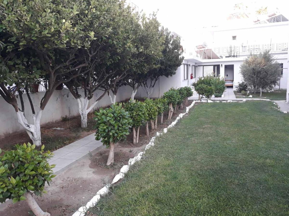 Andavis Hotel (Adults Only) Kardamena  Εξωτερικό φωτογραφία